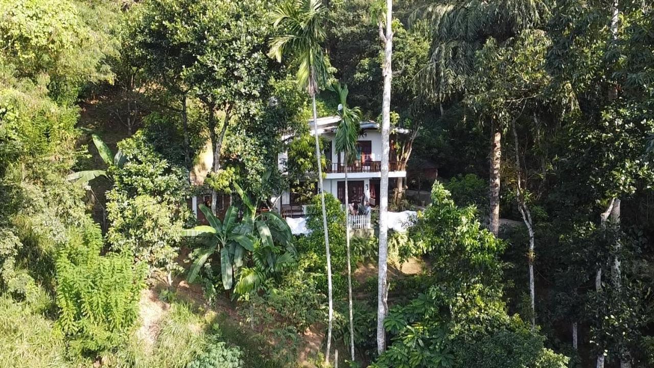 Villa25 Homestay Free Pick Up From The Centre Kandy Zewnętrze zdjęcie
