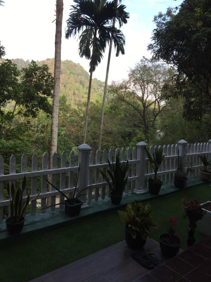 Villa25 Homestay Free Pick Up From The Centre Kandy Zewnętrze zdjęcie