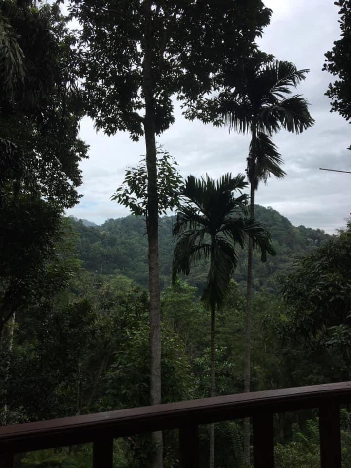 Villa25 Homestay Free Pick Up From The Centre Kandy Zewnętrze zdjęcie